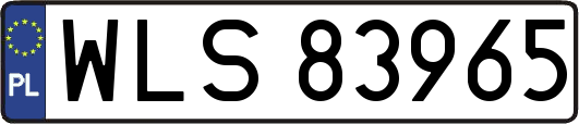 WLS83965