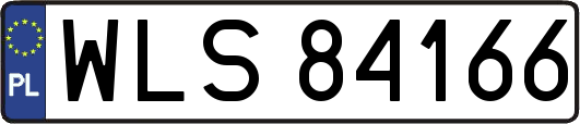 WLS84166
