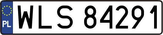 WLS84291