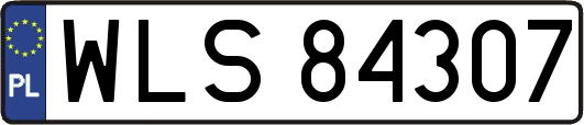WLS84307