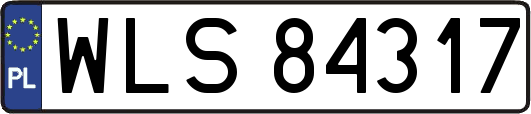 WLS84317
