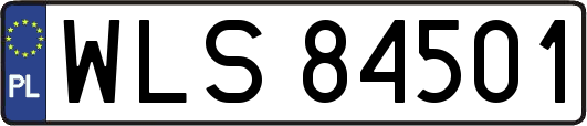 WLS84501