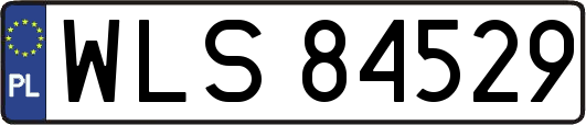 WLS84529
