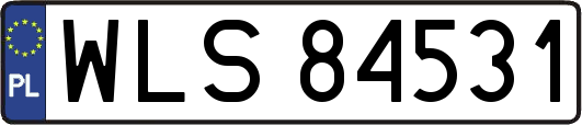 WLS84531