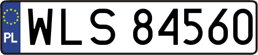 WLS84560