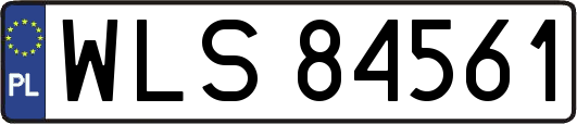 WLS84561