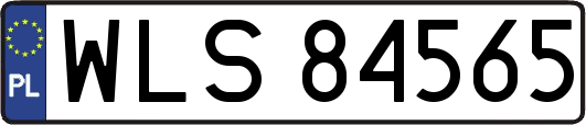 WLS84565