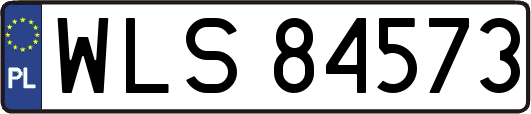 WLS84573
