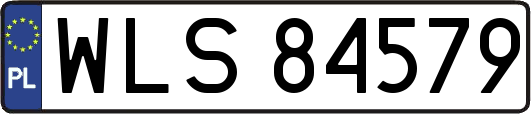 WLS84579
