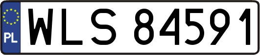 WLS84591
