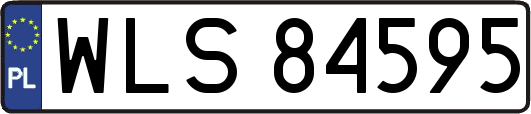 WLS84595