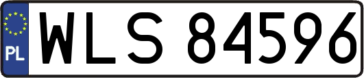 WLS84596