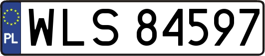 WLS84597