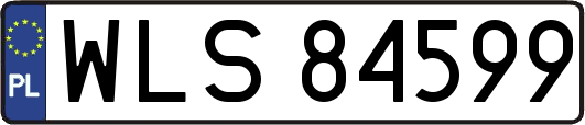 WLS84599