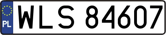 WLS84607