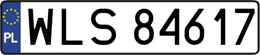 WLS84617