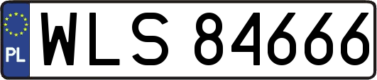 WLS84666