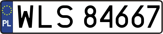 WLS84667