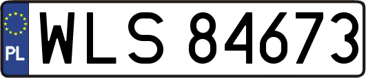 WLS84673