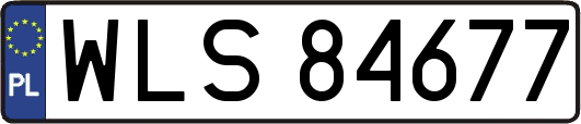 WLS84677