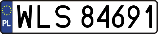 WLS84691