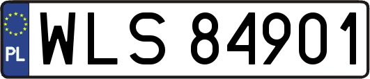 WLS84901