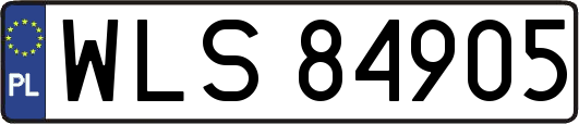WLS84905