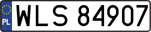 WLS84907