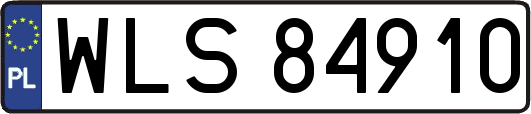 WLS84910