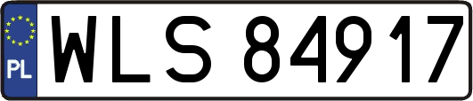 WLS84917