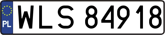 WLS84918