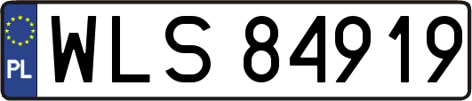 WLS84919