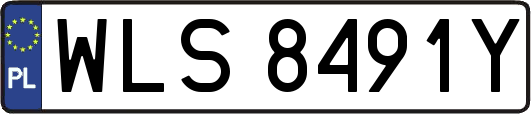 WLS8491Y
