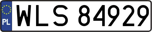 WLS84929