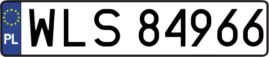 WLS84966