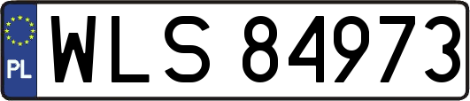 WLS84973