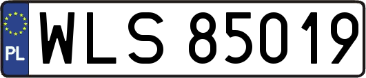 WLS85019