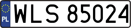 WLS85024