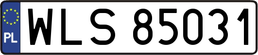 WLS85031