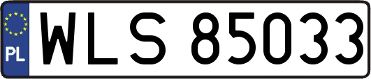 WLS85033