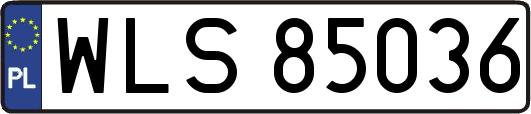 WLS85036