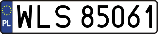 WLS85061