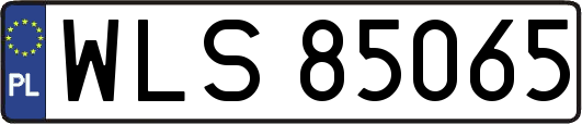 WLS85065
