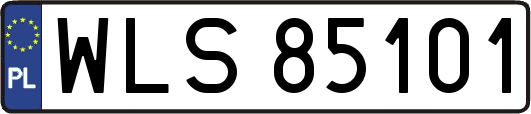 WLS85101