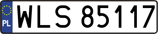 WLS85117