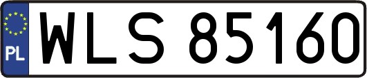 WLS85160