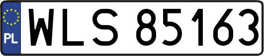 WLS85163