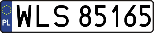WLS85165