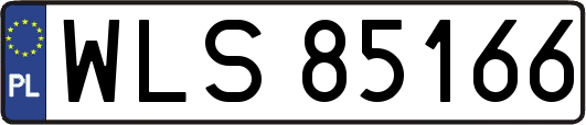 WLS85166