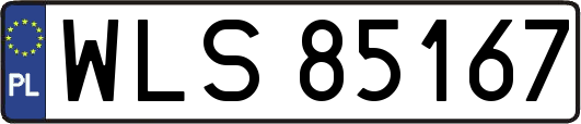 WLS85167